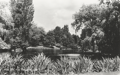 605759 Gezicht op de vijver in het Van Boetzelaerpark (Kerklaan 53) te De Bilt.